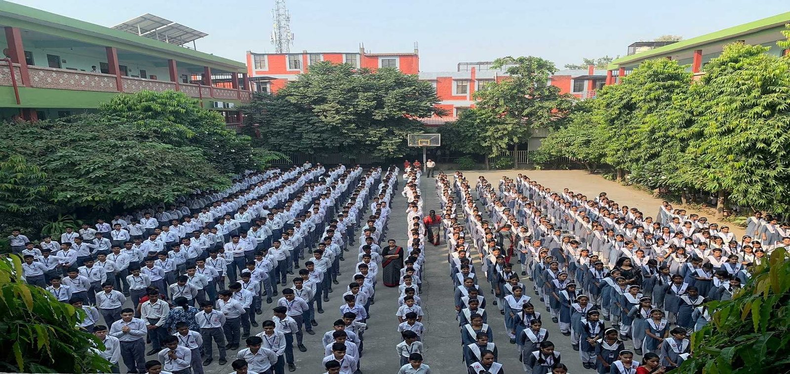 education